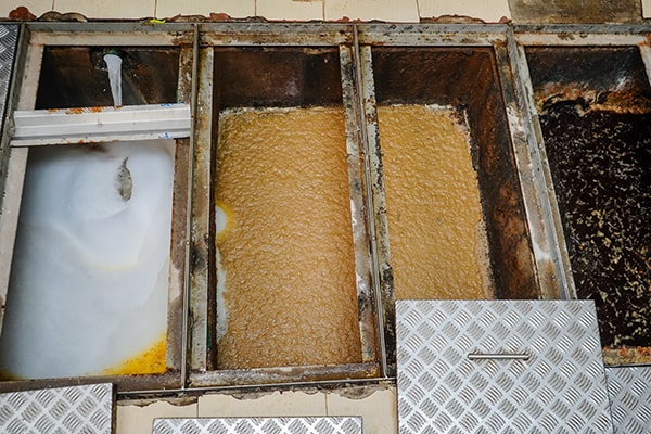 regular grease trap maintenance and proper disposal of grease and food waste can help reduce the need for costly repairs